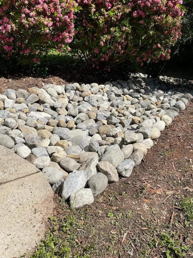 Customer photo from Dana's review