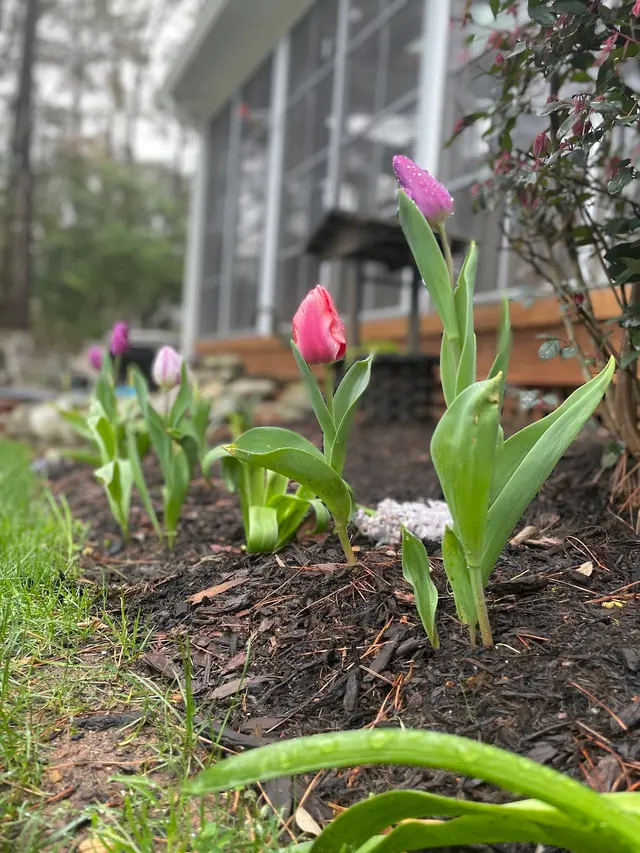 O Boys Landscaping — photo from the business 7