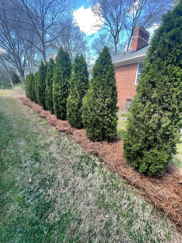 O Boys Landscaping — photo from the business 4