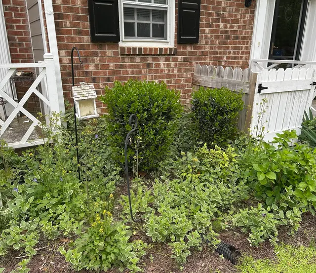 O Boys Landscaping — customer photo 6