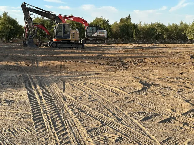 Customer photo of work by NO LIMIT HAULING & DEMOLITION, from David Rocha's review