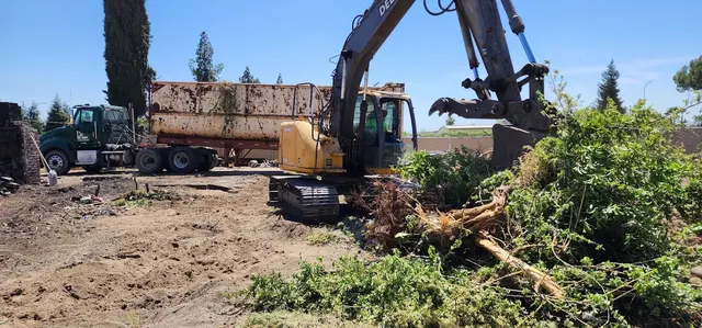 Customer photo of work by NO LIMIT HAULING & DEMOLITION, from Amber M's review