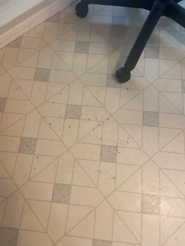 Customer photo from Two's review
