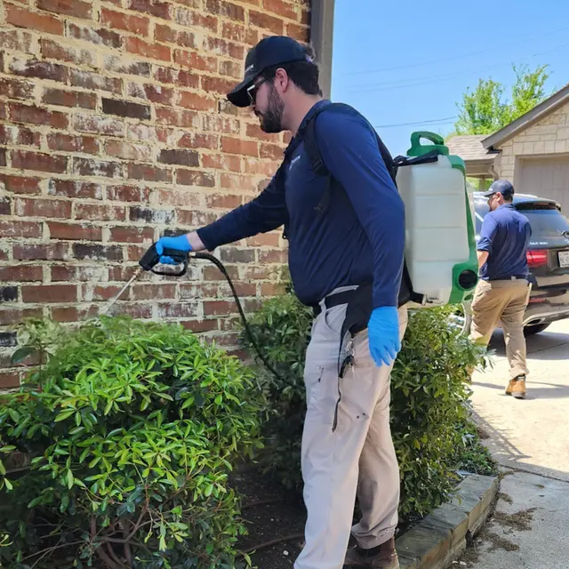 Paragon Pest Control — photo from the business 1