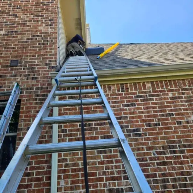 Paragon Pest Control — photo from the business 9