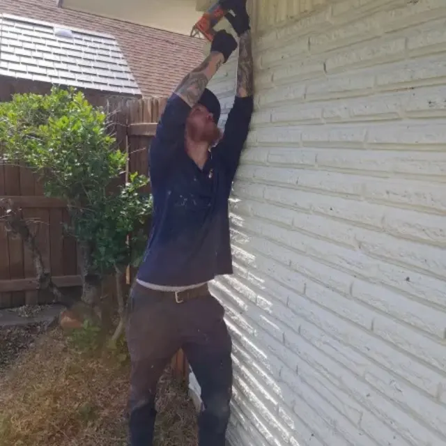 Paragon Pest Control — photo from the business 11