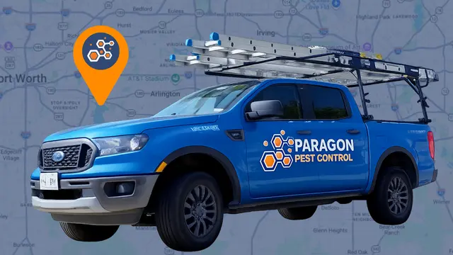 Paragon Pest Control — photo from the business 2