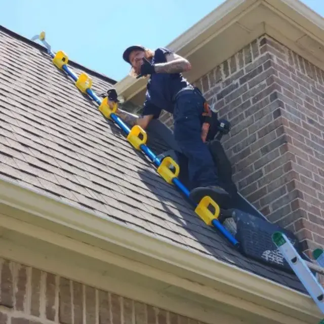 Paragon Pest Control — photo from the business 3
