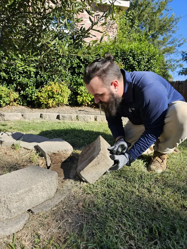 Paragon Pest Control — photo from the business 4
