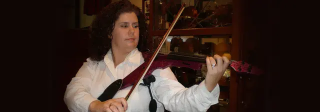Johnsons' Violins — photo from the business 7