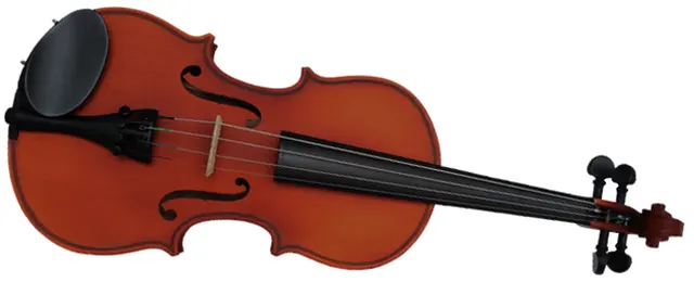 Johnsons' Violins — photo from the business 5