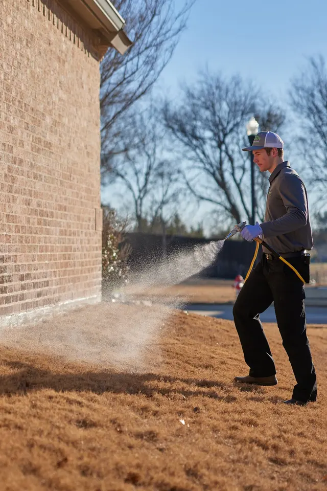 Dynasty Pest Control — photo from the business 5