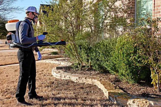 Dynasty Pest Control — photo from the business 4