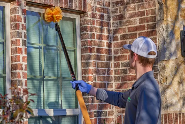 Dynasty Pest Control — photo from the business 3