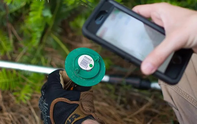 Dynasty Pest Control — photo from the business 9