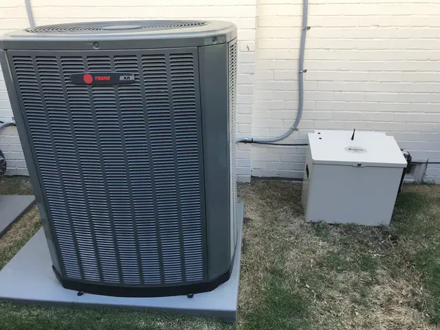 Dynasty Pest Control — photo from the business 7