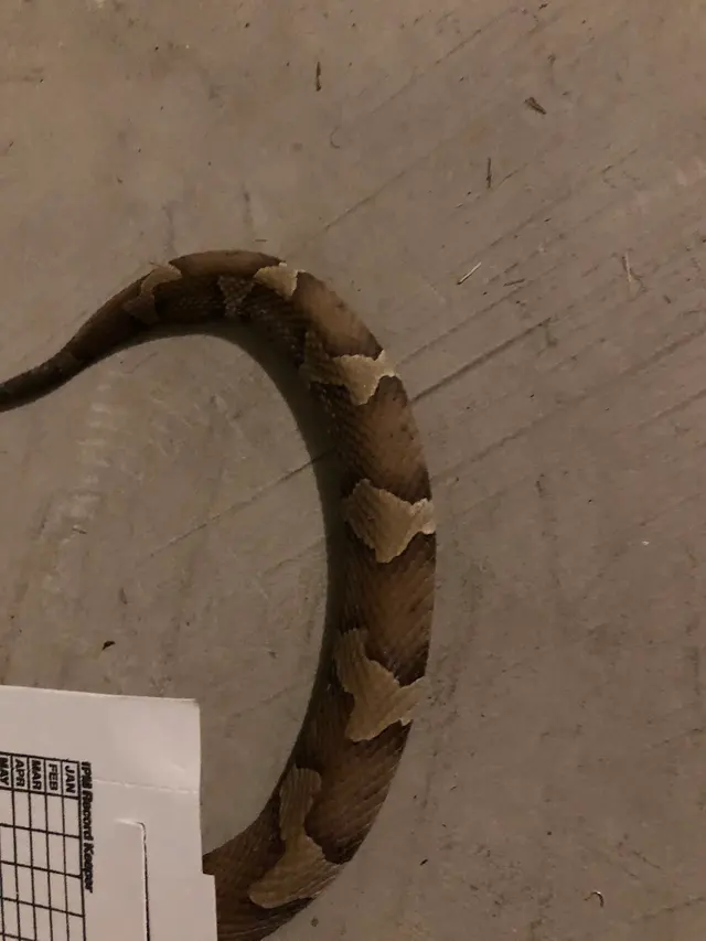 Customer photo from Jesse's review
