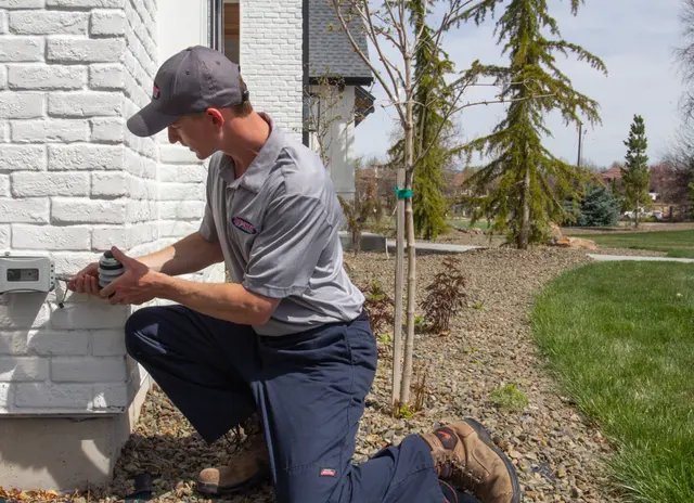 Romney Pest Control - Lewisville — photo from the business 2