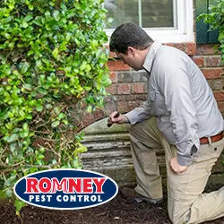 Romney Pest Control - Lewisville — photo from the business 11
