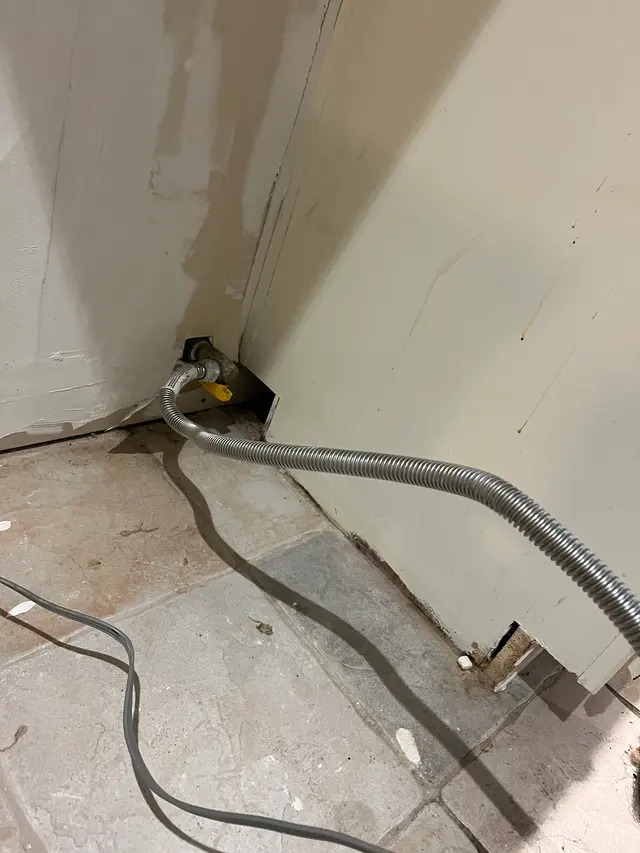Romney Pest Control - Lewisville — customer photo 7