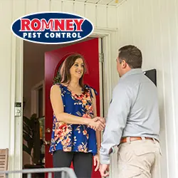 Romney Pest Control - Lewisville — photo from the business 9