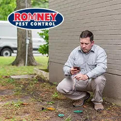 Romney Pest Control - Lewisville — photo from the business 12