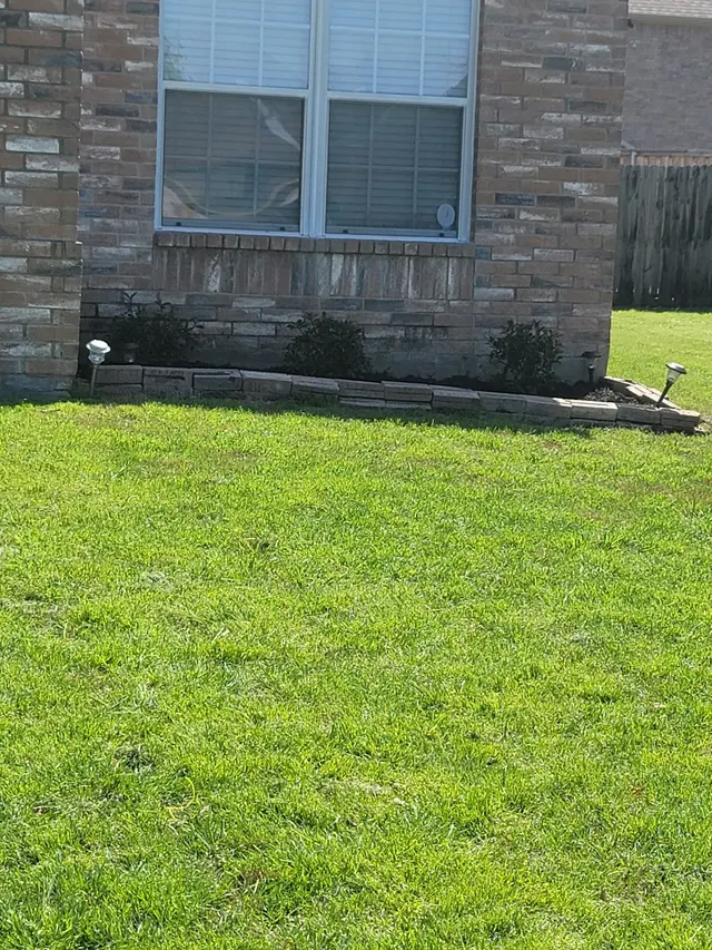 Romney Pest Control - Lewisville — customer photo 6