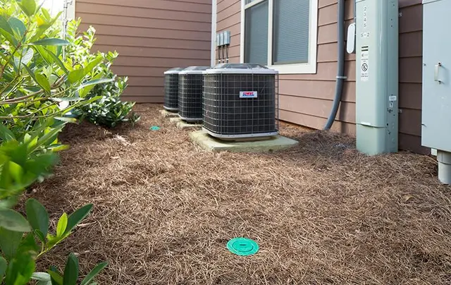 Romney Pest Control - Lewisville — photo from the business 4