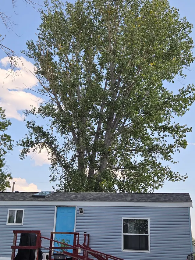 Montana Residential Builders and Custom Exteriors — customer photo 11