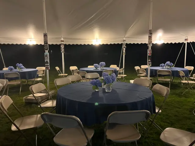Twin Bros Party Rentals — customer photo 6
