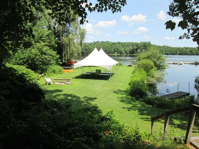 Twin Bros Party Rentals — customer photo 10