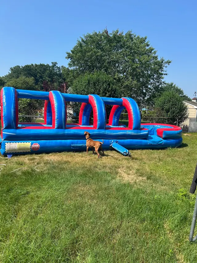 FunFlation Party Rentals — customer photo 4