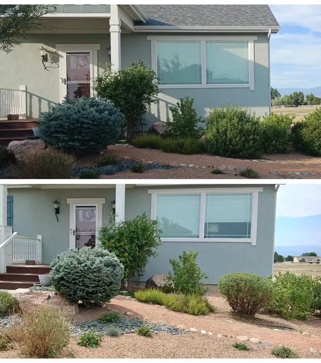 Rams Trees Services — customer photo 6