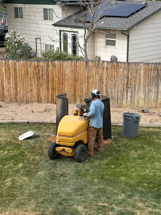 Rams Trees Services — customer photo 7