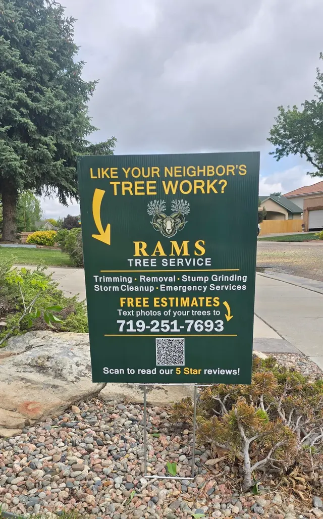 Rams Trees Services — photo from the business 3