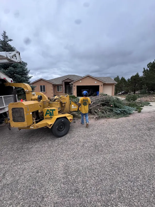 All Terrain Tree and Stump — photo from the business 4