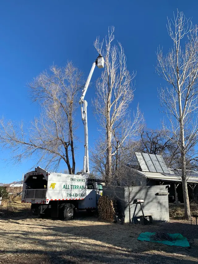All Terrain Tree and Stump — photo from the business 9