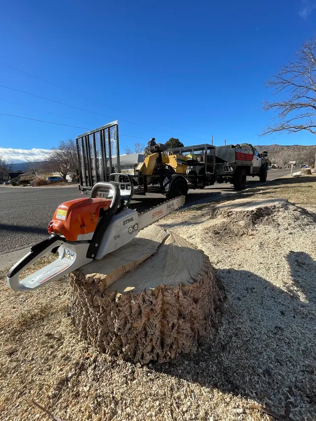 All Terrain Tree and Stump — photo from the business 7