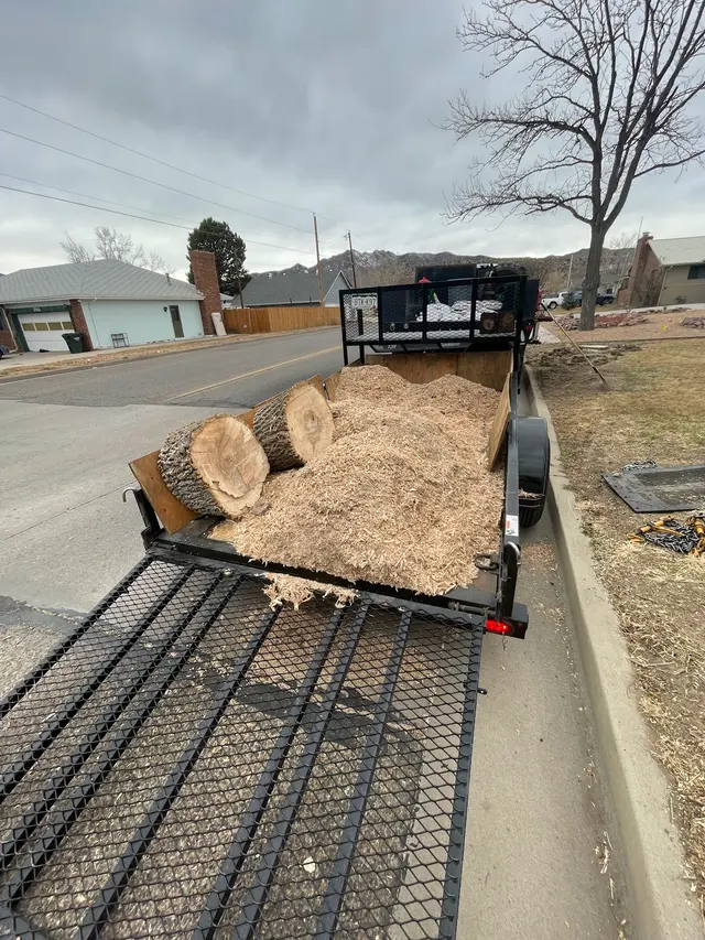 All Terrain Tree and Stump — photo from the business 5