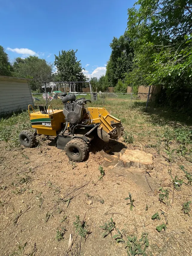 All Terrain Tree and Stump — photo from the business 6