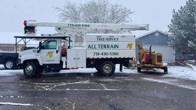 All Terrain Tree and Stump — photo from the business 1