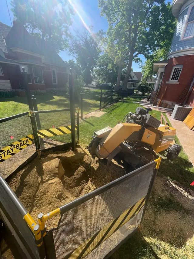 All Terrain Tree and Stump — photo from the business 8