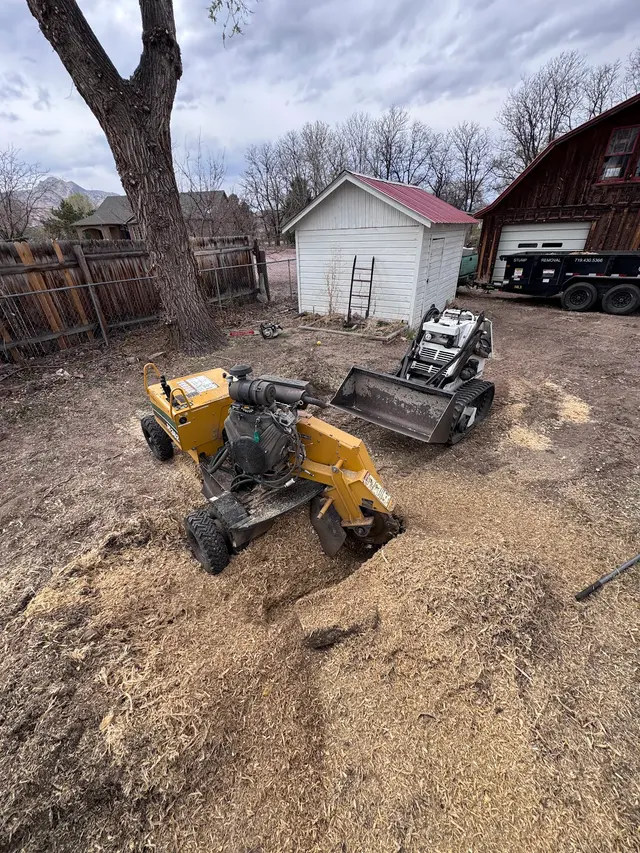 All Terrain Tree and Stump — photo from the business 3