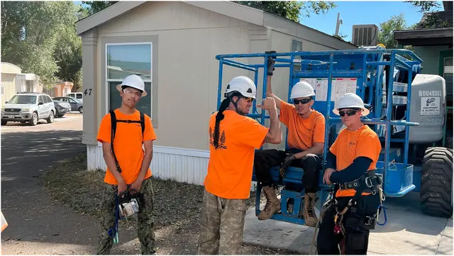 Arbor One Tree Service — photo from the business 1