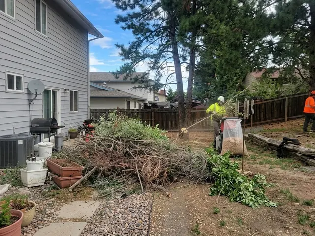 Arbor One Tree Service — photo from the business 6