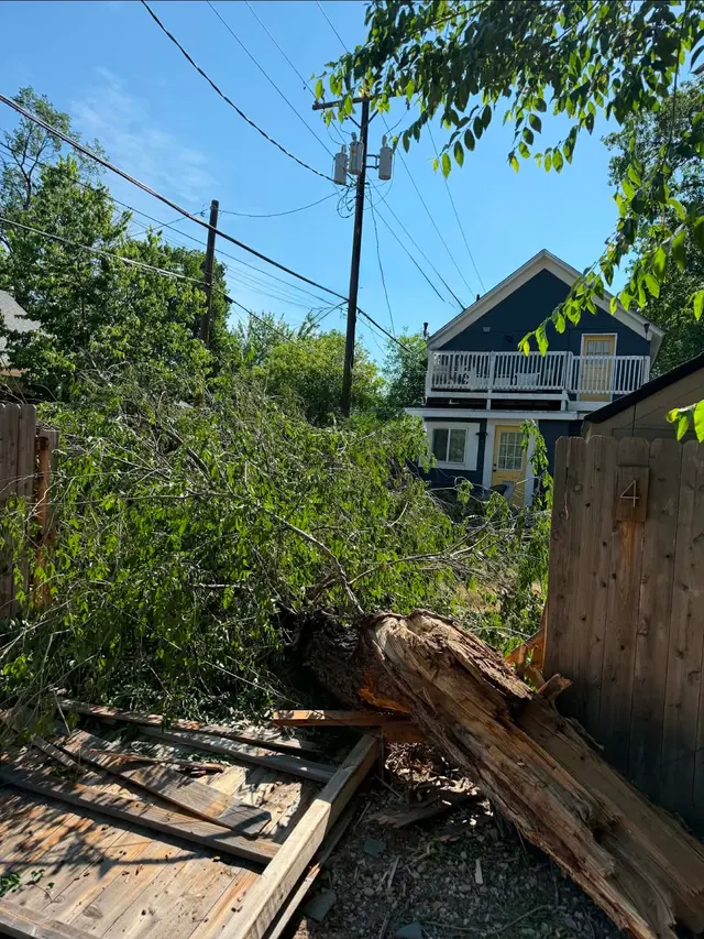 Customer photo of work by Arbor One Tree Service, from colten gibbons's review
