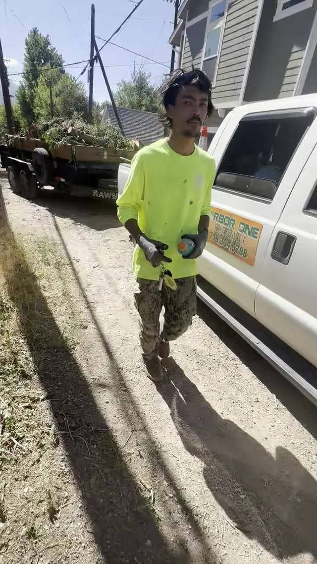 Customer photo of work by Arbor One Tree Service, from colten gibbons's review