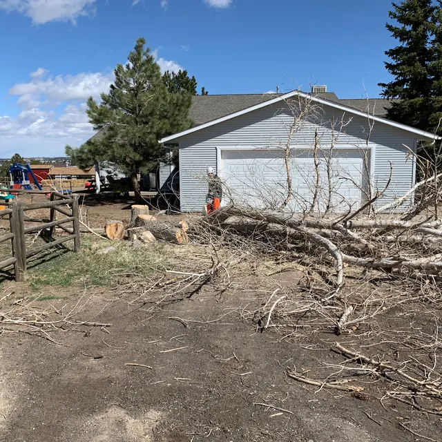 Arbor One Tree Service — photo from the business 12