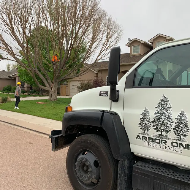 Arbor One Tree Service — photo from the business 11