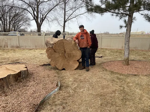 Forrest Tree Service, LLC — photo from the business 11